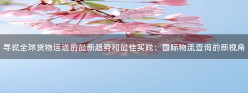 超凡国际自行车图片