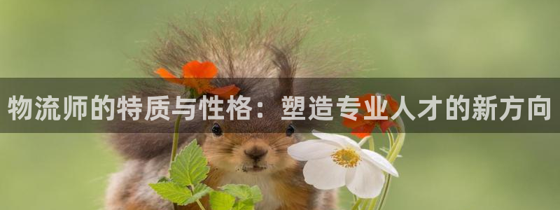 超凡国际口戒指是多大：物流师的特质与
