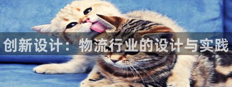 超凡国际注册登录链接：创新设计：物流