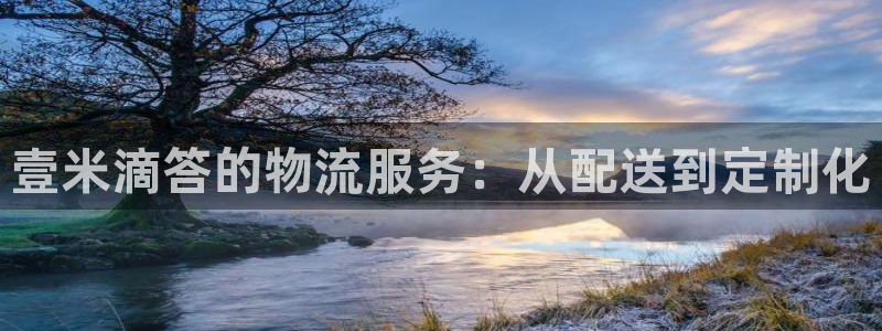 南宫超凡国际怎么注册：壹米滴答的物流