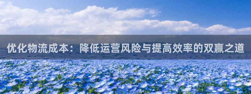 超凡国际注册条件:优化物流成本:降低