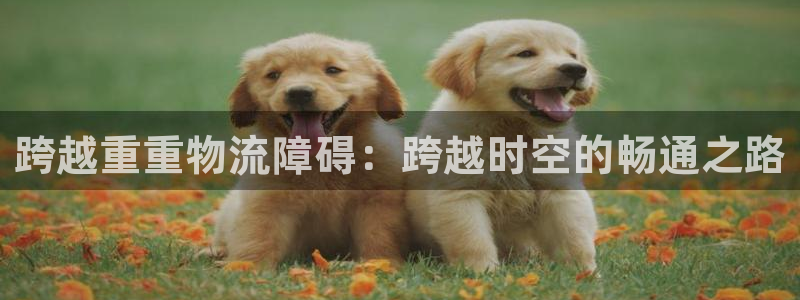 超凡国际口戒指是多大：跨越重重物流障