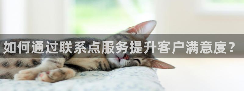 超凡国际登录网：如何通过联系点服务提