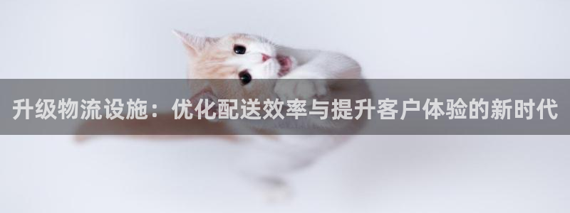 超凡国际注册过了警察知道吗：升级物流设施：优化配送效率与提升
