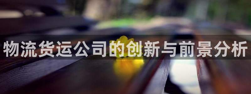 超凡国际链官网：物流货运公司的创新与
