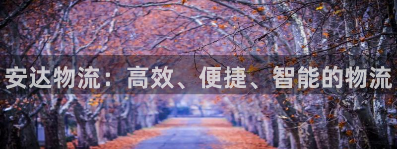 超凡国际官网下载链接是什么：安达物流
