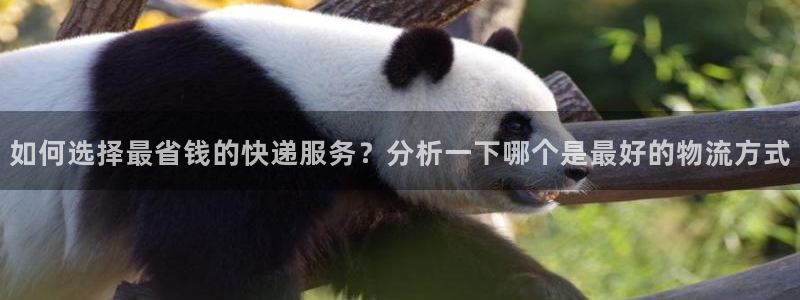 超凡国际绿骨头
