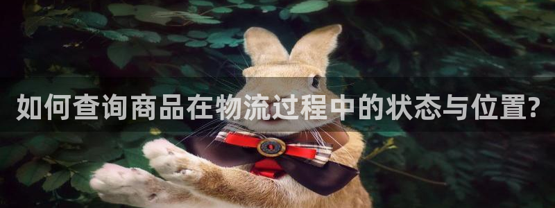 超凡国际注册号：如何查询商品在物流过