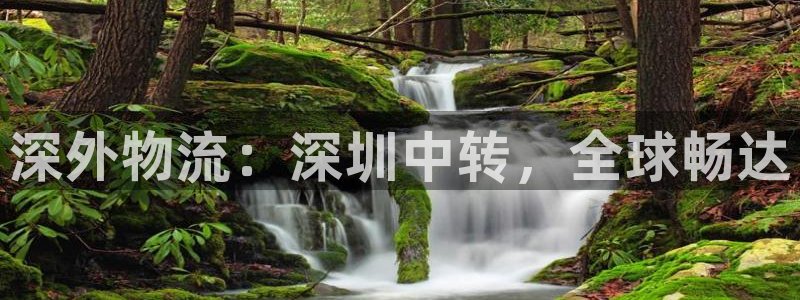 超凡国际登录网：深外物流：深圳中转，